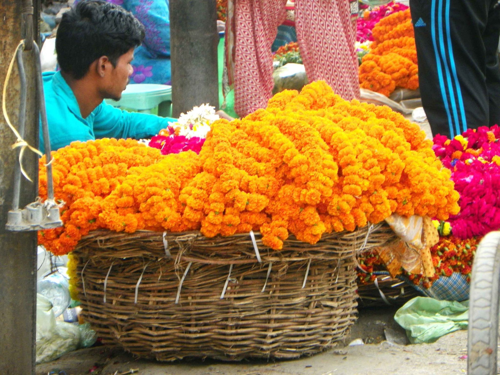 Extending The Storage Life Of Marigold Flowers Ecozensolutions