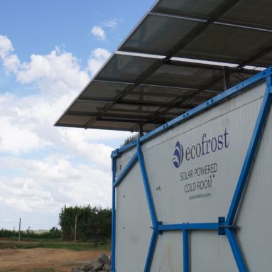 Ecofrost solar cold room in an outdoor setting in Kenya, Africa